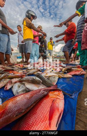 Vendeurs vendant du poisson frais au marché aux poissons de Sorong, la plus grande ville de la province indonésienne du sud-ouest de la Papouasie, Indonésie, Asie du sud-est Banque D'Images