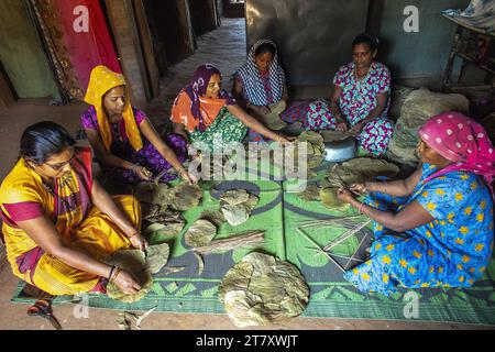 Groupe de femmes adivasi fabriquant des plaques de feuilles dans un village du district de Narmada, Gujarat, Inde, Asie Banque D'Images