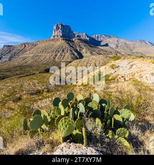 El Capitan et les montagnes Guadalupe, parc national des montagnes Guadalupe, Texas, États-Unis Banque D'Images