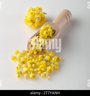 Les fleurs immortelle médicinales reposent sur la table dans une pelle. Herbe séchée. Les fleurs d'immortelle sont utilisées pour la confection de thés, décoctions et infusions. Guérison Banque D'Images