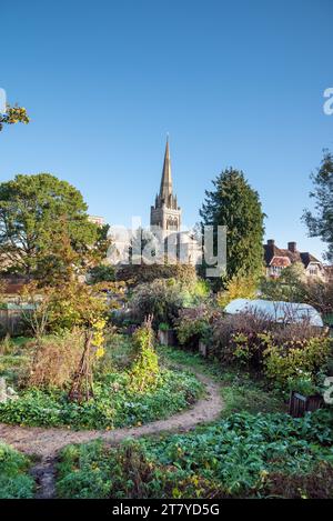 Cathédrale de Chichester vue depuis le jardin du palais des évêques Banque D'Images