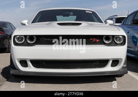 Lafayette - 16 novembre 2023 : exposition Dodge Challenger. Dodge offre la Challenger en modèles SXT, GT, R/T et SRT Hellcat. Banque D'Images