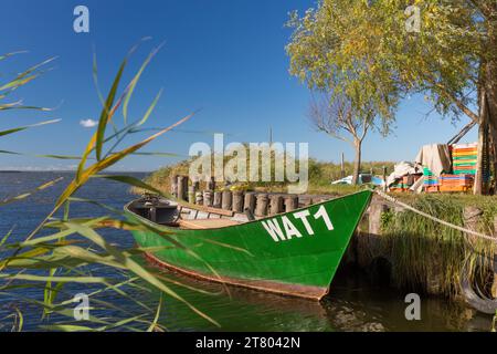 Bateau de pêche dans le petit port de l'Achterwasser à Warthe près de Rankwitz sur l'île d'Usedom dans la mer Baltique, Mecklembourg-Poméranie occidentale, Allemagne Banque D'Images