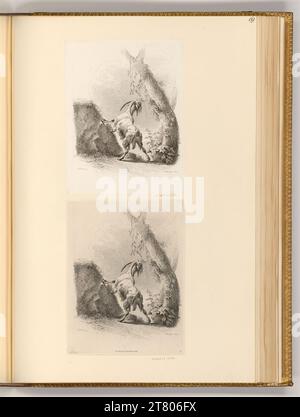 Johann Adam von Bartsch (graveur) soutenant avec les pattes avant sur un rocher et des vrilles d'un arbre grignotant la chèvre billy dans la vue arrière. Gravure, gravure sur cuivre 1805, 1805 Banque D'Images