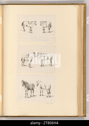 Johann Adam von Bartsch (graveur) chevaux. gravure vers 1802 Banque D'Images