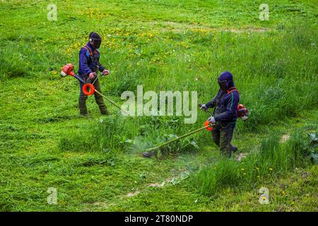 deux hommes de tondeuse municipale avec des coupe-bordures à fil coupant l'herbe à la journée ensoleillée Banque D'Images