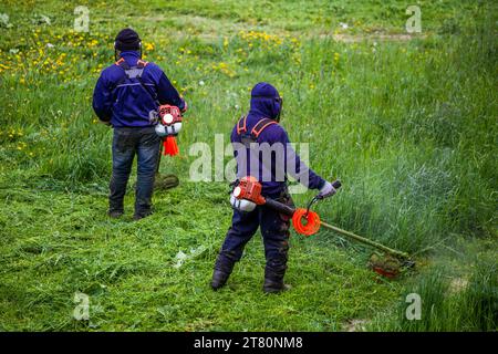 deux hommes de tondeuse municipale avec des coupe-bordures à fil coupant l'herbe à la journée ensoleillée Banque D'Images