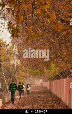 Srinagar, Inde. 17 novembre 2023. Les habitants du Cachemire marchent le long de la rue pendant une froide journée d'automne à Srinagar, la capitale estivale du Jammu-et-Cachemire. Crédit : SOPA Images Limited/Alamy Live News Banque D'Images
