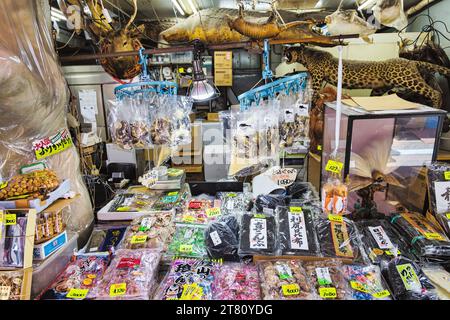 Tokyo, Japon - 12 avril 2023 : exposition sur le marché aux poissons de Tsukiji à Chuo City. C'est une attraction touristique majeure. Avant 2018, c'était la plus grande OMS Banque D'Images