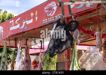 RAF Raf, Bizerte, Tunisie. 10 mars 2023. La tête d'une vache suspendue devant une boucherie en Tunisie. Banque D'Images