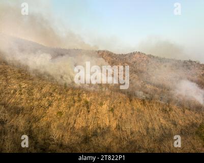 Changement climatique , catastrophe de feu de forêt dans la forêt tropicale causée par des dommages humains, environnementaux en Asie du Sud-est. vue aérienne. Banque D'Images