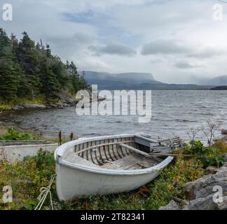 Abandonné bateau en bois blanc sur la rive herbeuse par une journée orageuse à gros Morne Terre-Neuve Banque D'Images