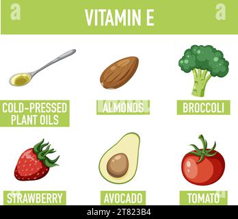 Apprenez-en plus sur les aliments riches en vitamine E dans une illustration amusante de dessin animé Illustration de Vecteur