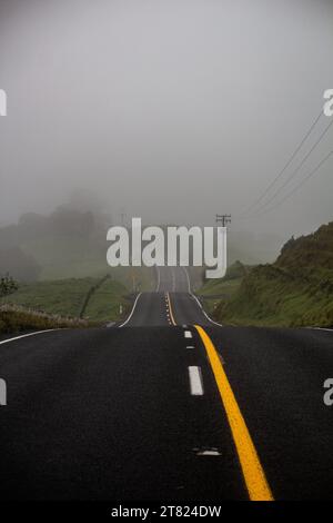 Route incurvée passant par le brouillard, Nouvelle-Zélande Banque D'Images