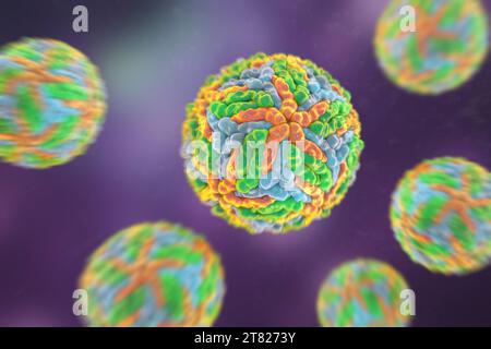 Illustration informatique des virus de la dengue, groupe de virus à ARN (acide ribonucléique) transmis par les moustiques et responsables de la fièvre dengue. Banque D'Images