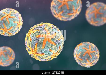 Illustration informatique des virus de la dengue, groupe de virus à ARN (acide ribonucléique) transmis par les moustiques et responsables de la fièvre dengue. Banque D'Images