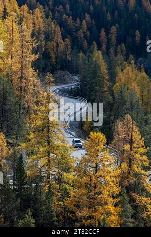 Voiture sur la route de l'Ofenpass, accès au Parc National Suisse, Zernez, Engadin, Graubuenden, Suisse Banque D'Images