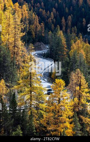 Voiture sur la route de l'Ofenpass, accès au Parc National Suisse, Zernez, Engadin, Graubuenden, Suisse Banque D'Images