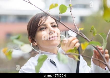 Médecin examine l'état de l'arbre avec un stéthoscope protection de l'environnement Banque D'Images