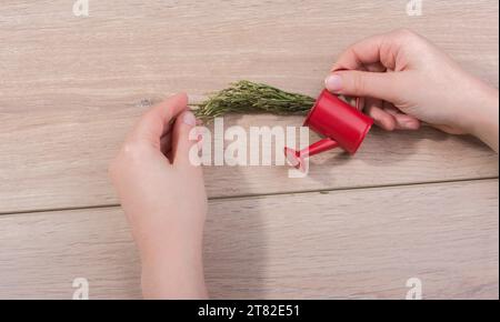 Petit arrosoir rouge avec des feuilles dans la main Banque D'Images