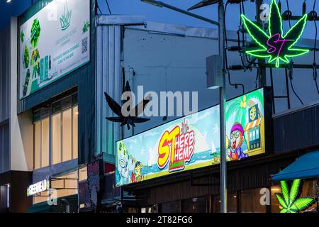 Boutique de cannabis légale façade, Chaweng, Ko Samui, Thaïlande Banque D'Images