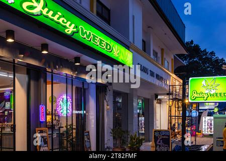 Boutique de cannabis légale façade, Chaweng, Ko Samui, Thaïlande Banque D'Images