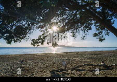 Des gens marchant sur Milford Beach. Des étoiles de soleil brillent à travers les arbres de Pohutukawa. L'île de Rangitoto au loin. Auckland. Banque D'Images