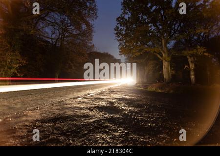 Conduite de nuit sur une route forestière. Banque D'Images