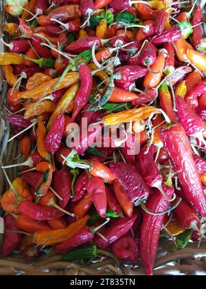 Gros plan d'une exposition de piments colorés dans un panier de paille. Banque D'Images