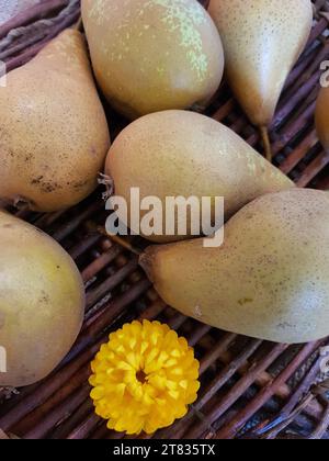 Gros plan d'une poire mûre et d'une fleur jaune dans un panier de paille. Banque D'Images