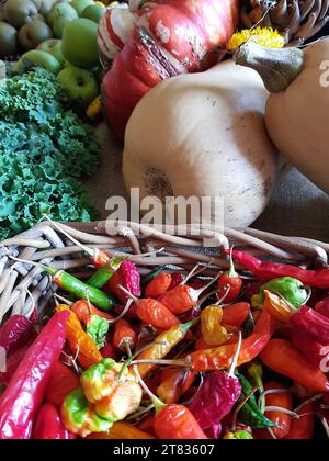 Gros plan d'une exposition de gourdes et de piments colorés dans un panier de paille. Banque D'Images
