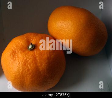 Deux tangerines à l'intérieur d'une boîte de fond blanc Banque D'Images