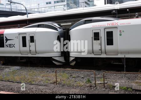 Tokyo, Japon. 18 novembre 2023. Le train express JR East Narita Express limité à l'aéroport. Le surtourisme est une préoccupation majeure au Japon maintenant, avec des foules de voyage post-pandémiques affluant vers Tokyo, Kyoto et Osaka, incitant le gouvernement japonais à augmenter les prix des billets de train pour réduire les situations de surpeuplement. (Image de crédit : © Taidgh Barron/ZUMA Press Wire) USAGE ÉDITORIAL SEULEMENT! Non destiné à UN USAGE commercial ! Banque D'Images