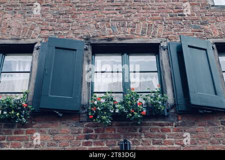 Belles fleurs sur une fenêtre antique avec volets en bois. Banque D'Images