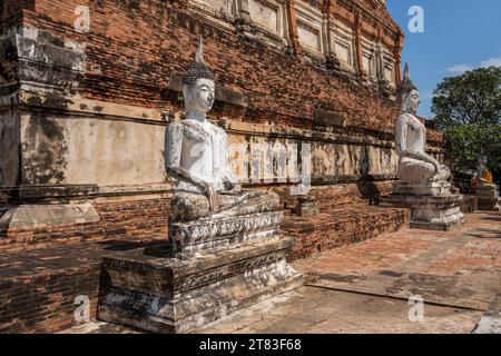 Wat Chai Yai Mongkon Ayutthaya Thaïlande Asie Banque D'Images