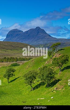 Suilven, Assynt, Wester Ross, Highalnds écossais, Royaume-Uni Banque D'Images