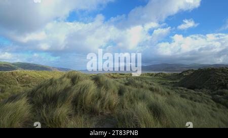 Réserve naturelle nationale de Ynyslas, Ceredigion PAYS DE GALLES Royaume-Uni Banque D'Images