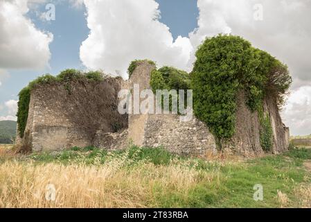 Ruine de vieille petite maison en pierre couverte de lierre entourée d'un champ de blé avec de lourds nuages dans le ciel Banque D'Images