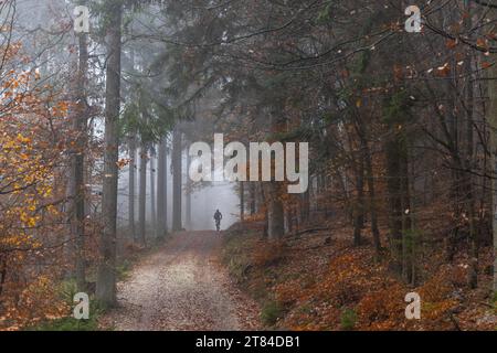 Trübes Novemberwetter im Taunus Ein Fahrradfahrer fährt BEI Regen und Nebel auf einem Waldweg im Taunus., Oberursel Hessen Deutschland *** temps nuageux de novembre dans le Taunus Un cycliste roule sous la pluie et le brouillard sur un chemin forestier dans le Taunus, Oberursel Hessen Allemagne crédit : Imago/Alamy Live News Banque D'Images