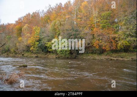 Rivière Usk près de Llangynidr avec des arbres aux couleurs d'automne, Powus, pays de Galles, Royaume-Uni Banque D'Images