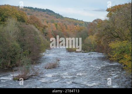 Rivière Usk près de Llangynidr avec des arbres aux couleurs d'automne, Powus, pays de Galles, Royaume-Uni Banque D'Images