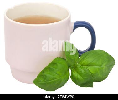 Feuilles de basilic frais avec de la tisane dans une tasse Banque D'Images