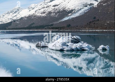 Des growlers de forme étrange (petits icebergs) avec des reflets flottant dans le détroit de Prince William en Alaska, USA Banque D'Images