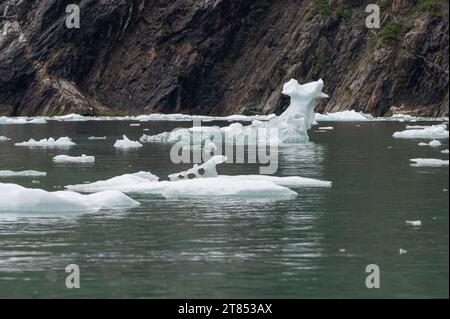 Des growlers de forme étrange (petits icebergs) flottant dans Icy Bay en Alaska, USA Banque D'Images