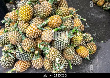 Tas d'ananas à vendre sur le marché Banque D'Images