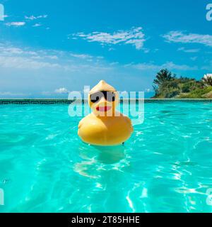 Canard en caoutchouc dans une piscine Banque D'Images