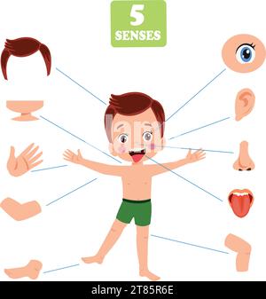 Concept de cinq sens avec les organes humains Illustration de Vecteur