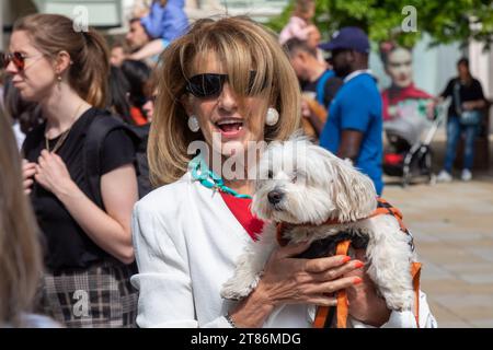 Femme avec Un terrier maltais dans le Kings Road London Banque D'Images