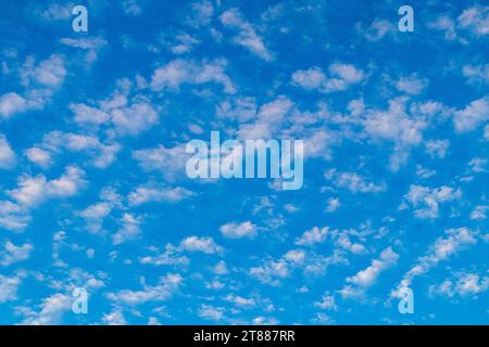 Ciel bleu vif avec des nuages d'Altocumulus moelleux dispersés partout. Bon pour l'arrière-plan, avec du texte, ou comme un dessin imprimé sur tissu ou papier. Banque D'Images