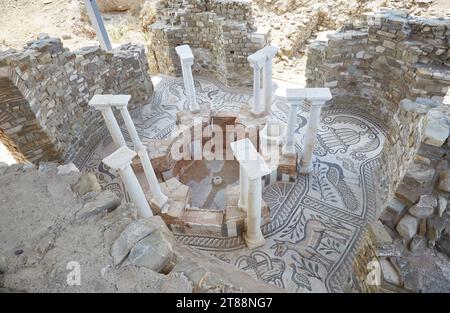 Les ruines antiques de Stobi en Macédoine du Nord sont connues pour leur mosaïque bien préservée Banque D'Images